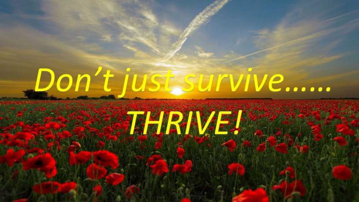 Survive Thrive